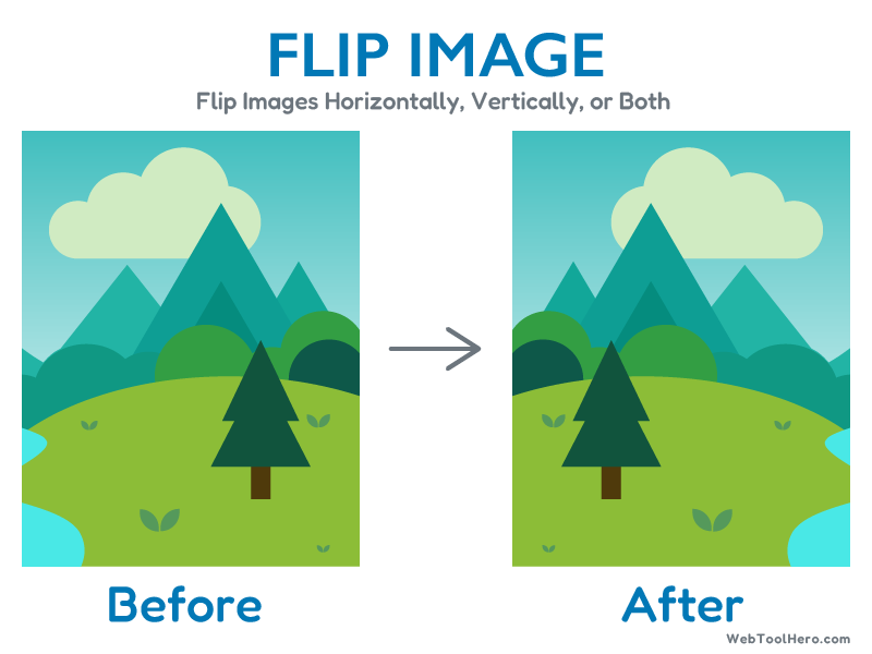 Flip Image Online