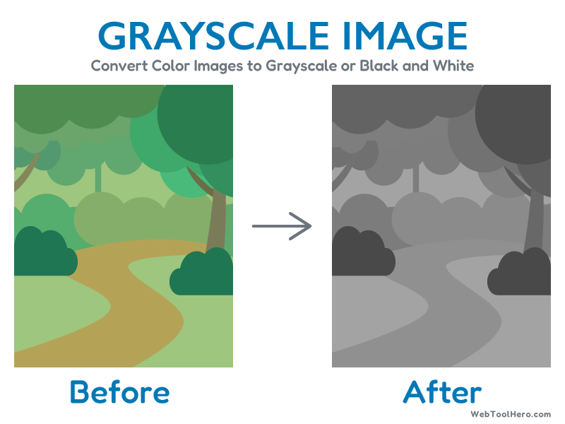 Grayscale Image Online